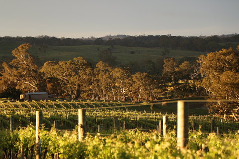 Max & Me Wine Tasting @ Eden Valley Hotel - Accommodation Batemans Bay 1