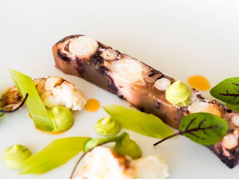 The Wild Herring - Accommodation Batemans Bay 0