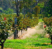 The Red Apron Gourmet Kitchen - Accommodation Batemans Bay