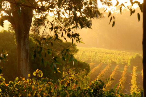 Deep Woods Estate - Accommodation Batemans Bay 1