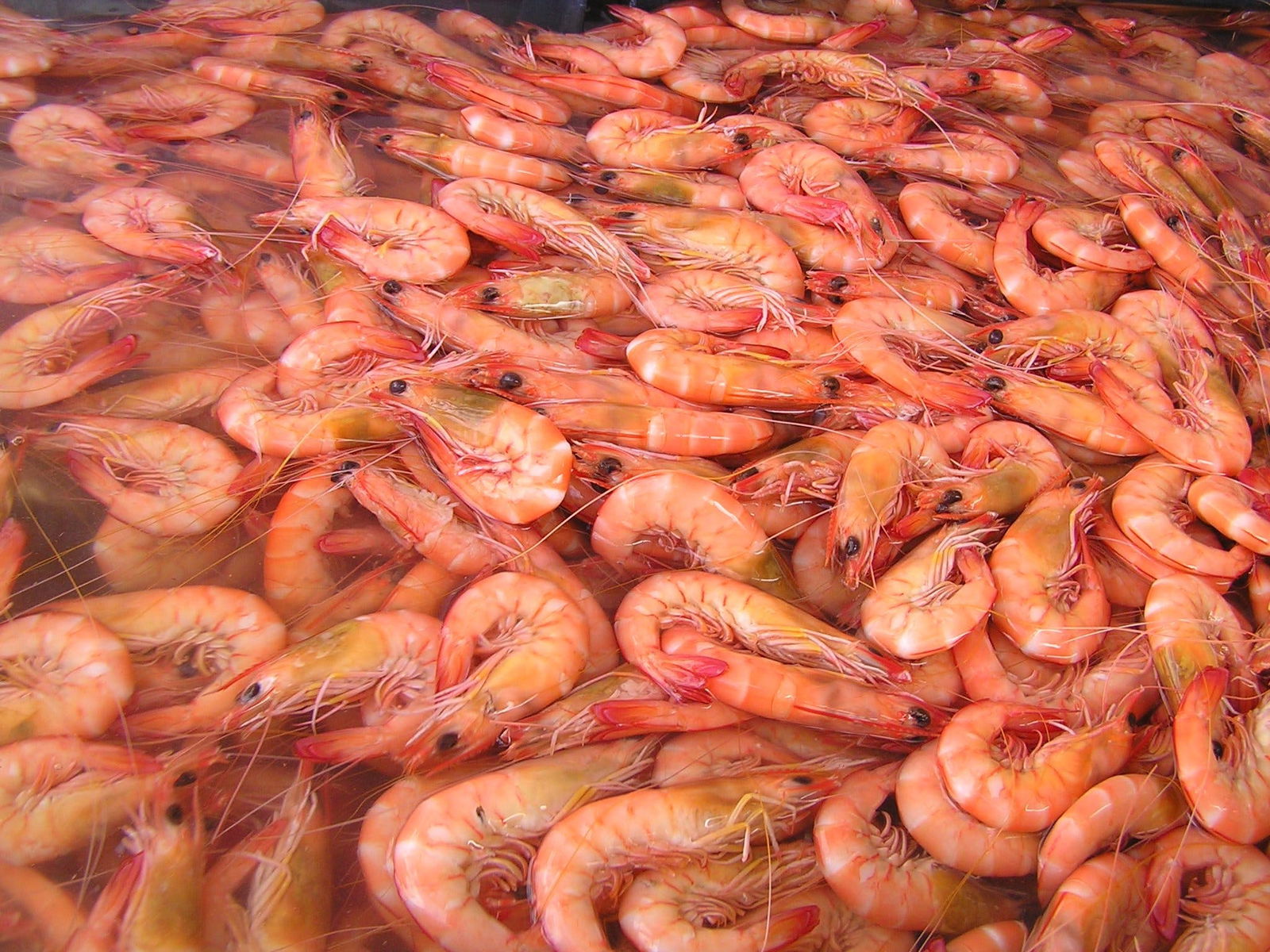 Bundaberg East QLD Accommodation Batemans Bay