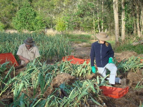 Sweet Water Farm - Accommodation Batemans Bay 0