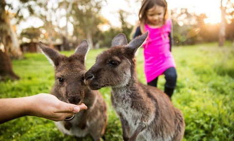 Woodstock Coterie Estate - Accommodation Batemans Bay 16