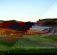 Dalwhinnie Wines - Accommodation Batemans Bay