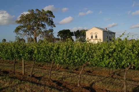 Highbank Vineyards - Accommodation Batemans Bay 0