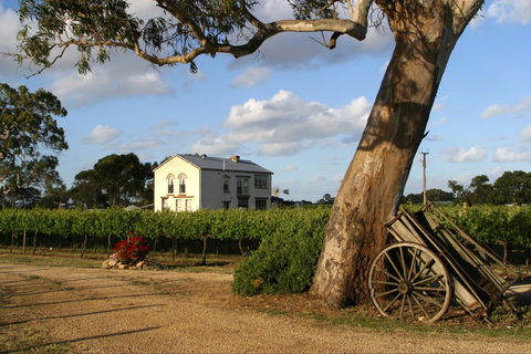 Highbank Vineyards - Accommodation Batemans Bay 2