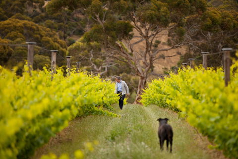 Islander Estate Vineyards - Accommodation Batemans Bay 1