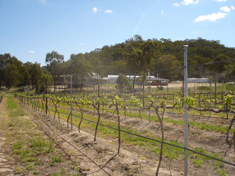 Banca Ridge Cellar Door And Vineyard - Accommodation Batemans Bay 2
