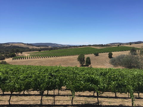 Peerick Vineyard And Winery - Accommodation Batemans Bay 0