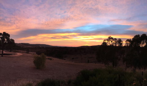 Peerick Vineyard And Winery - Accommodation Batemans Bay 1