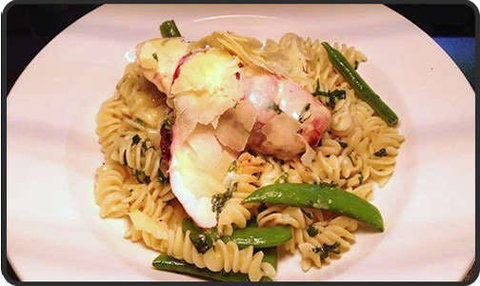 Spotty Cat - Accommodation Batemans Bay 0