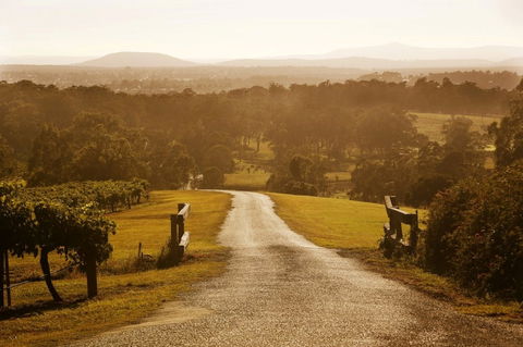 Petersons Wines - Accommodation Batemans Bay 0