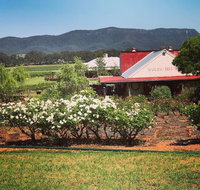 Hanging Tree Wines - Accommodation Batemans Bay