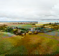 Pettavel Wines - Accommodation Batemans Bay