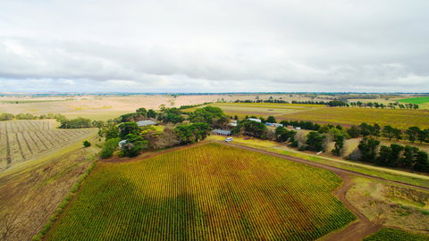 Pettavel Wines - Accommodation Batemans Bay 0