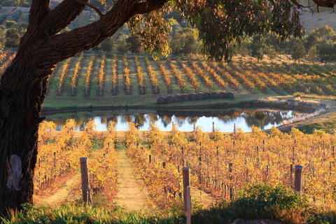 Sanguine Estate - Accommodation Batemans Bay 0