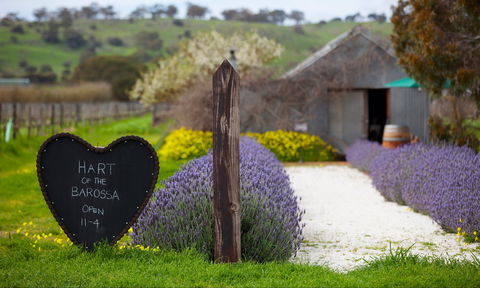 Hart Of The Barossa - Accommodation Batemans Bay 0