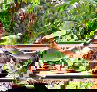 Jaques Coffee Plantation - Accommodation Batemans Bay