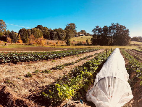 Synchronicity Farm - Accommodation Batemans Bay 0