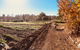 Synchronicity Farm - thumb 1