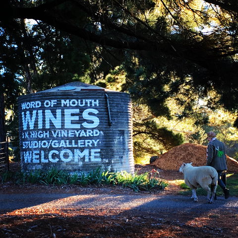 Word Of Mouth Wines - Accommodation Batemans Bay 1