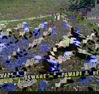 Hillbilly Coffee - Accommodation Batemans Bay