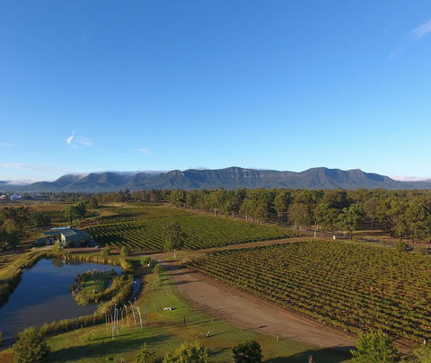 Mistletoe Winery - Accommodation Batemans Bay 0