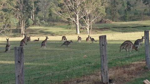 Mistletoe Winery - Accommodation Batemans Bay 1