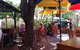 Shady Lane Cafe - thumb 0