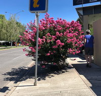 Alpine Gate Cafe - Accommodation Batemans Bay