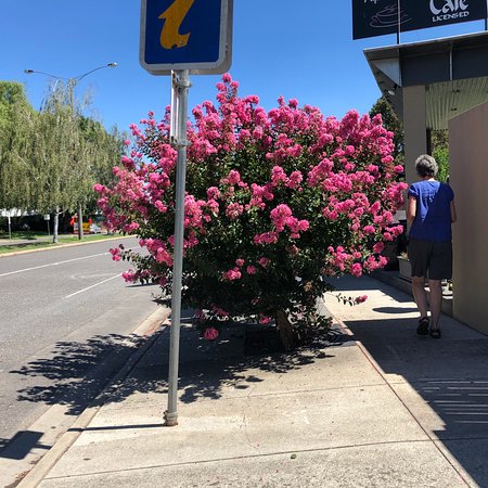 Alpine Gate Cafe - Accommodation Batemans Bay 0