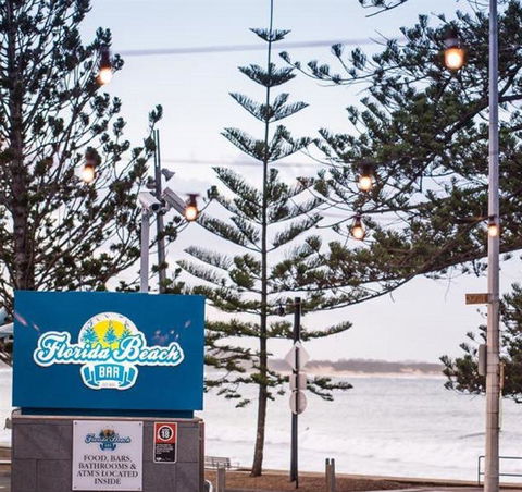 Anchovy - Accommodation Batemans Bay 2