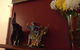 Parade Thai Restaurant - thumb 2