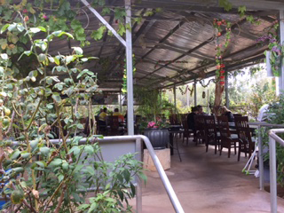 Alice Vietnamese Restaurant - Accommodation Batemans Bay 4