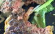 Dragonfly Cafe - thumb 1