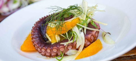 O Bar & Restaurant - Accommodation Batemans Bay 3