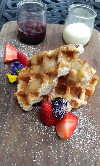 Phat Elephant - Accommodation Batemans Bay 6