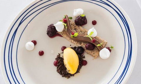Wild Herring - Accommodation Batemans Bay 0