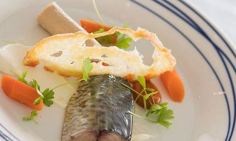 Wild Herring - Accommodation Batemans Bay 2