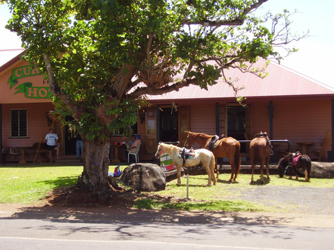 Currajah Hotel - Accommodation Batemans Bay 1