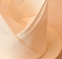 Touch of North India - Accommodation Batemans Bay