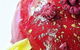 Paesano International Buffet - thumb 20