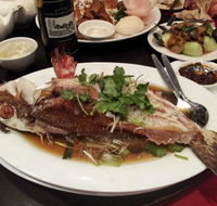 Shark Fin Inn - Accommodation Batemans Bay