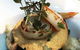 Chloe's Lounge & Restaurant - thumb 17