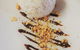 La Cucina Italian Eatery - thumb 10