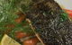La Cucina Italian Eatery - thumb 7