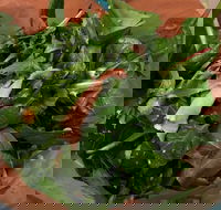 Soph Slice Gourmet Pizza Bar - Accommodation Batemans Bay