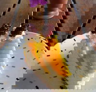 Treesa Green - Accommodation Batemans Bay