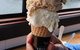 Van Diemens Land Creamery - thumb 1