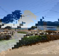 Penguin  Pardalote Coffee House - Accommodation Batemans Bay